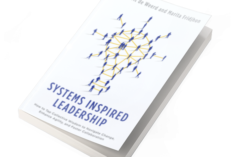 Systems Inspired Leadership